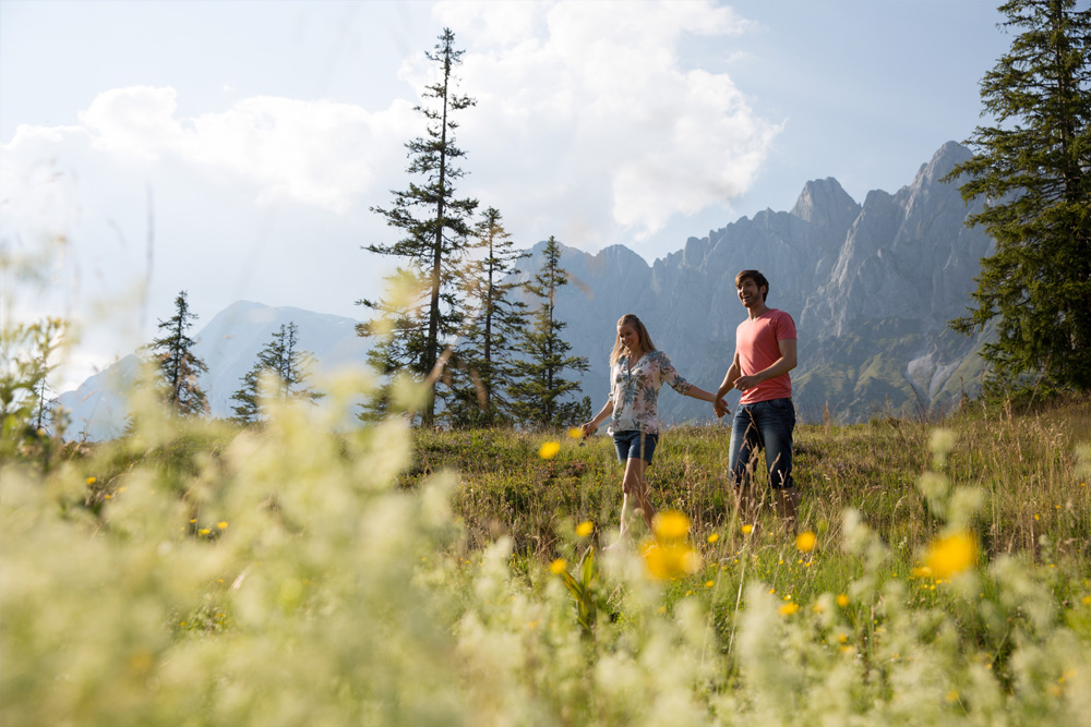 Die Hochkönig-Region erleben